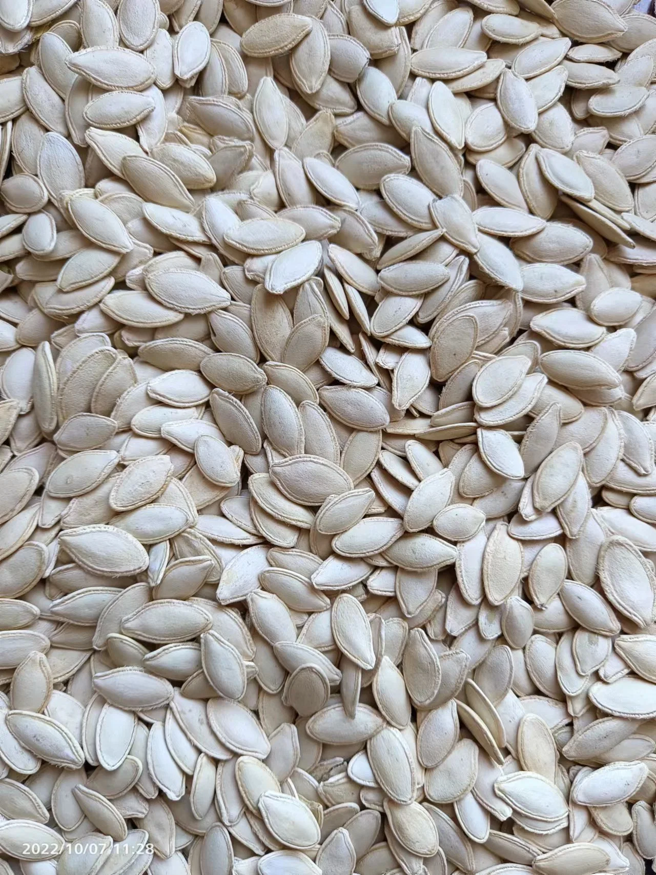 High quality/High cost performance Export China Raw Lady Nail Pumpkin Seeds with Shell 8mm