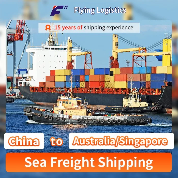 International Sea Freight Shipping Company mit Spediteur aus China Nach Australien/Singapur