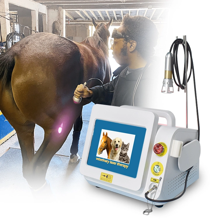 Vet 980nm portable vétérinaire Diode laser Painrelief dispositif laser équine laser Équipement de thérapie pour le cheval