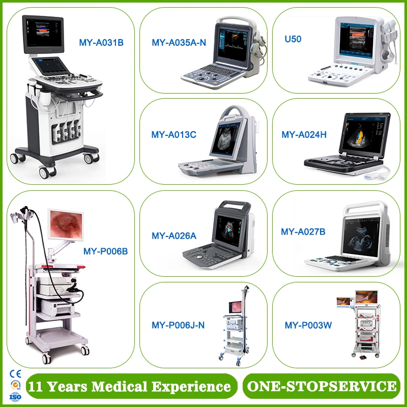 Obstetric Gynecology Medical Equipment/Infant Incubator/Electronic Digital Colposcope/Neonatal Oxygen Hoods/Baby Phototherapy/Cryosurgery/Baby Trolley Bed