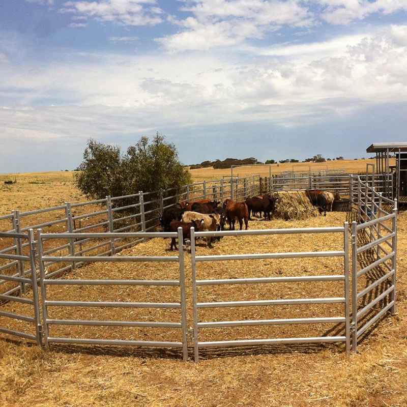 High quality/High cost performance  Movable Hot Dipped Galvanized Horse Yard Panel