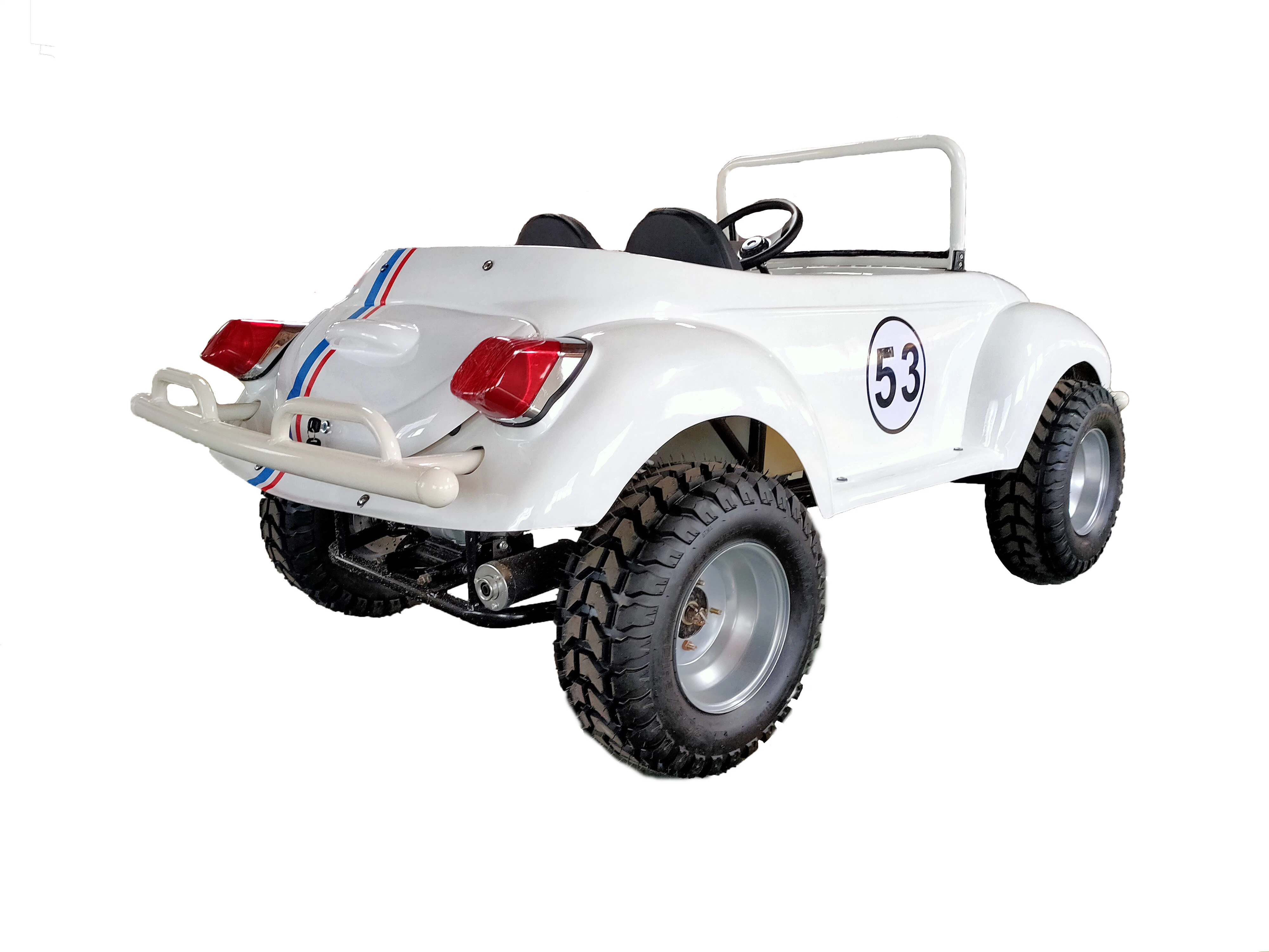 Suyang New Style 1500W Auto Quad ATV Outdoor Mini Beetle for Sale