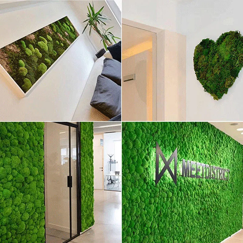 Stabilized Environmental Moss New Low Price Moss Board Home Office Decoration Wall