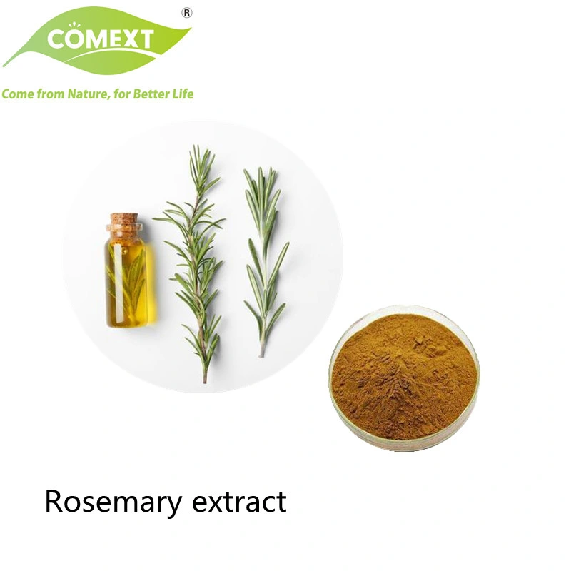 Comext China Manufacturer Wholesale/Supplier Food Grade Natural Plant Herb Extract Carnosic Acid Powder Inventory USA Warehouse Rosemary Extract