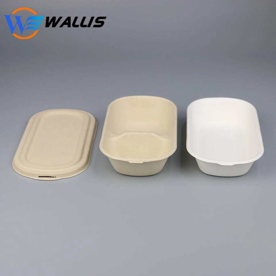 Disposable Plastic Takeaway Meal Tray Biodegrade PLA Lunch Box