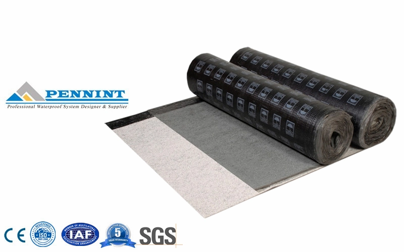 Torch-on Sbs/APP/Sand/PE/Aluminum/Mineral Granule/ Modified Bitumen Waterproofing Membrane/ Construction and Civil Menbrane