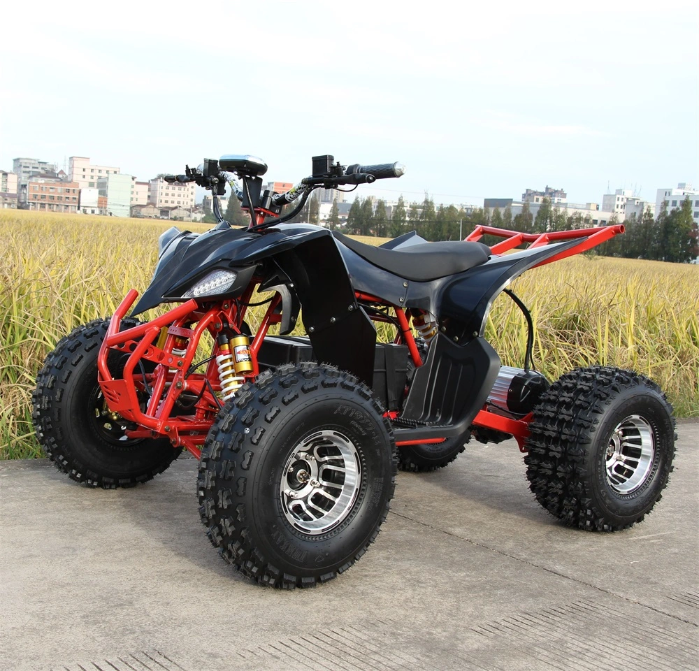 Manufacturers Customized Middle 1500W 1800W Beach Endless ATV