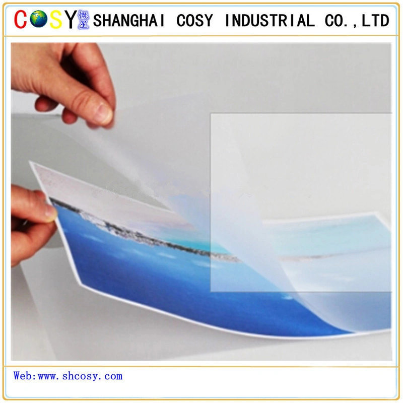 PVC Transparent Cold Lamination Film, Matt/Glossy Photo Cold Lamination Film