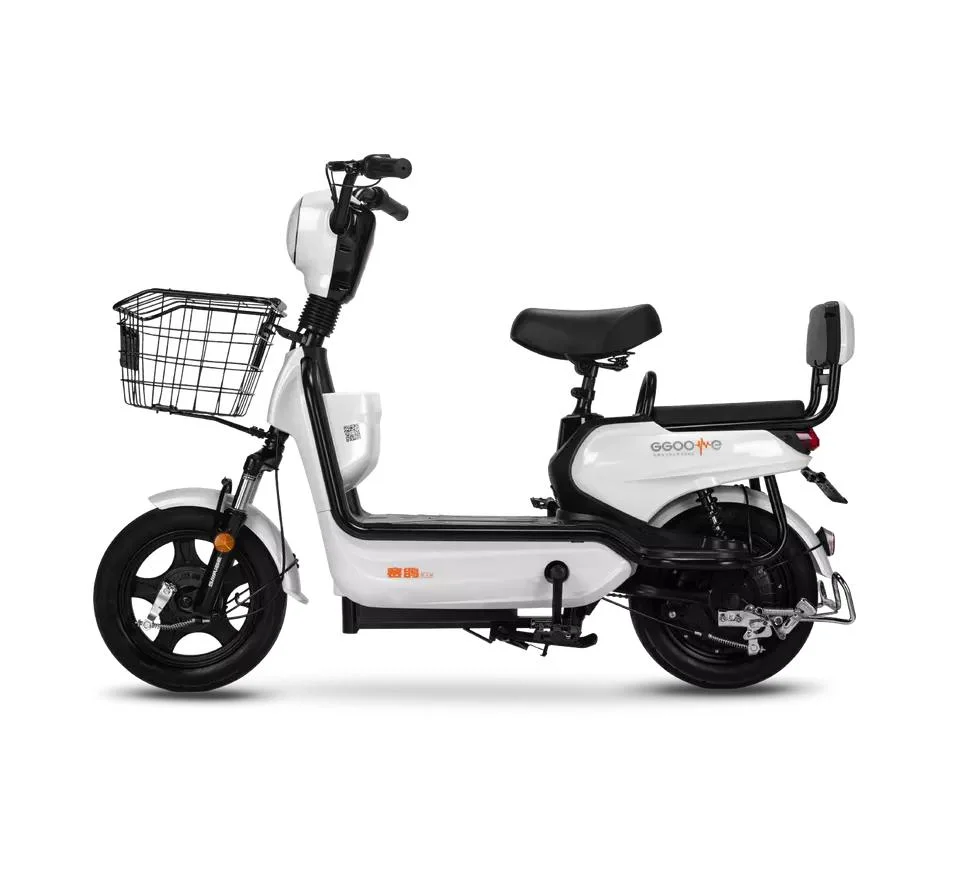 Saige Brand Yg Electric Bicycle with 25km/H Speed Electric Bike and Scooter for Dirt Roads