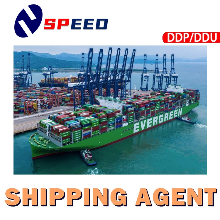 Cheapest Sea Freight Forwarder From China to USA Canada Mexico Cargo Services