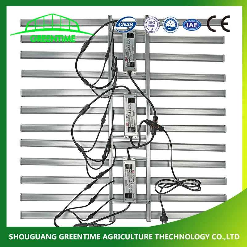 Usine de l'horticulture à spectre complet pour l'intérieur des feux de plantes croissant à LED Barres d'éclairage 800W 1000W