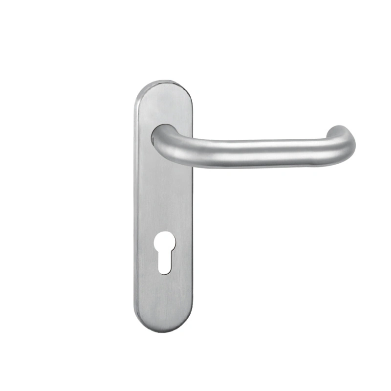 Puerta de acero inoxidable de alta calidad Handle-Lh bloqueo0156