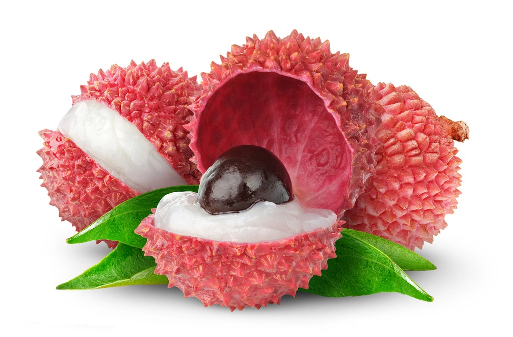 Health Food Canned Fruit Canned Whole Lychee in Syrup Cheap Price