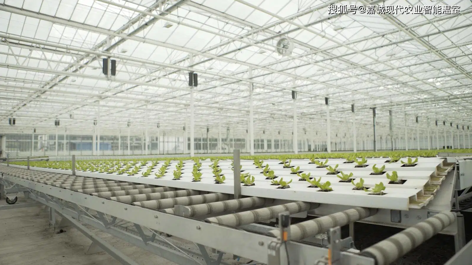 Láminas de policarbonato cubiertas de cristal de la casa verde de pepino tomate Verduras Flor de la casa productos para el jardín Hidroponía sistemas de cultivo