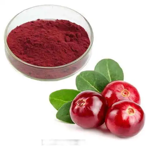 1% до 25% фруктов извлечения Anthocyandins порошок Cranberry Extract