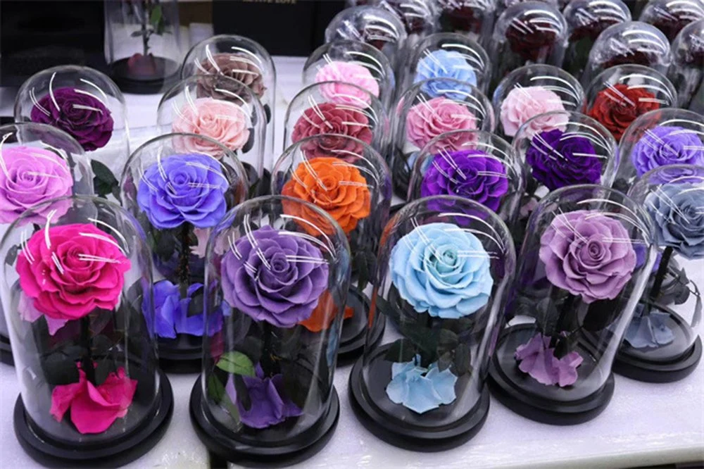 Preserved Rose Flower Customized Colors Preserved Roses Wholesale Rose Dome Preserved Preserved Flower in Acrylic Box