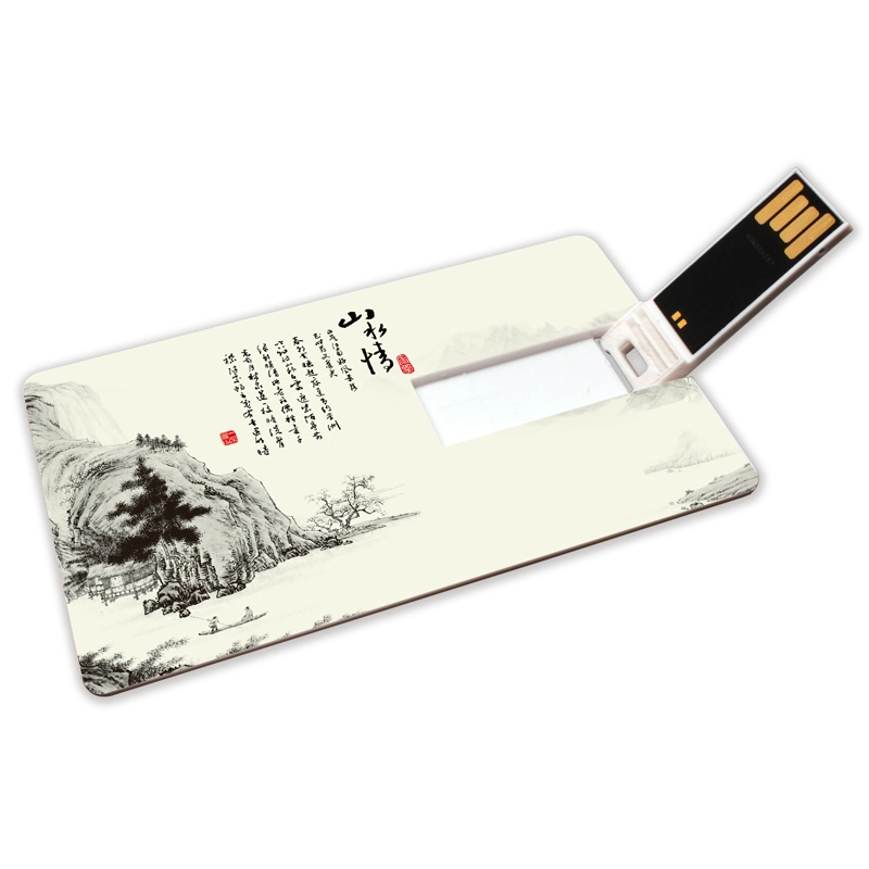 Cartão de visitas a impressão em cores de USB 2.0 Dom Populares Publicidade Pendrive de plástico de 8 GB Flash Drive USB de cartão de crédito