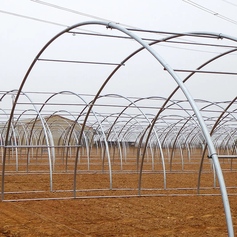 China Single-Span Poly Tunnel Greenhouses with Gi Steel Structure