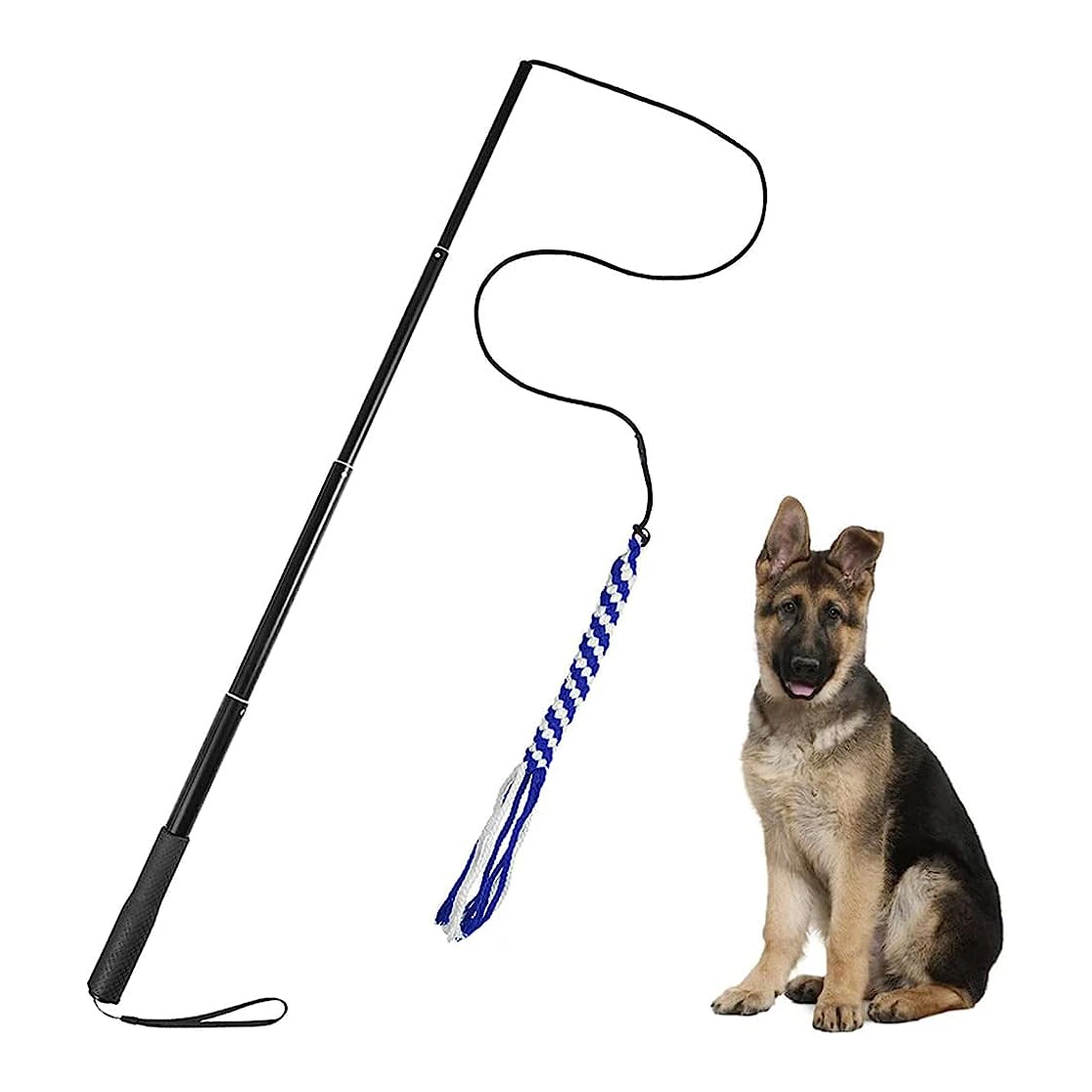 Extendable Collapsible Pole 2 Sizes Interactive Pet Flirt Pole for Dogs