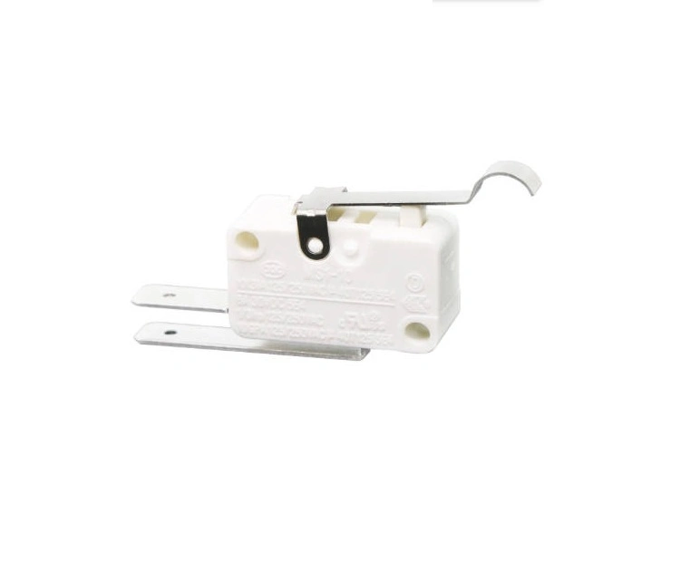 مفتاح صغير في الأجهزة المنزلية الأدوات الكهربائية المصابيح والفانارات