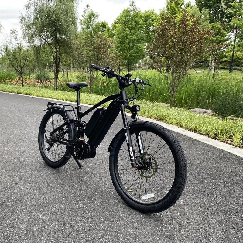 Dual Battery Endurable Fast Speed Mountain Electric Bicycle