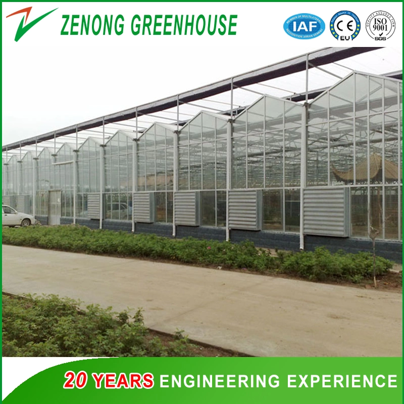 Stainless Steel Blade Exhaust Fan with Aluminum Border for Greenhouse/Poultry Farms