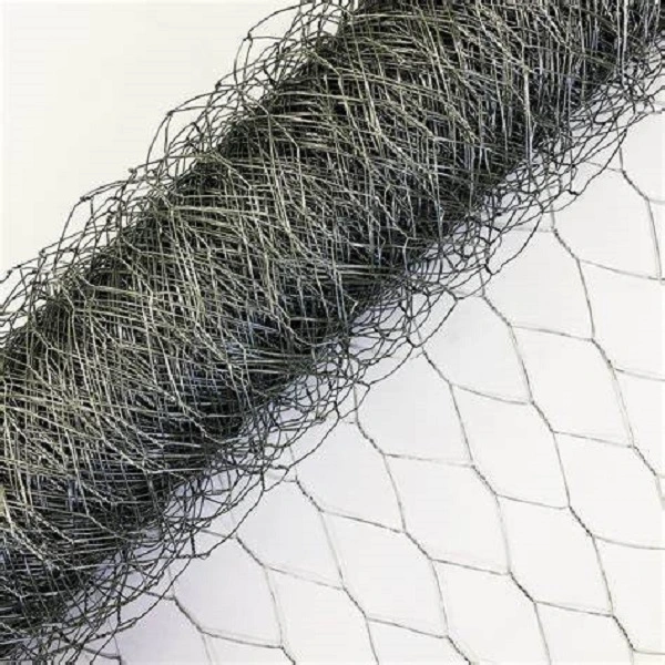 PVC /Stainless Steel/Galvanized Hexagonal Wire Mesh for Poultry Fence Mesh