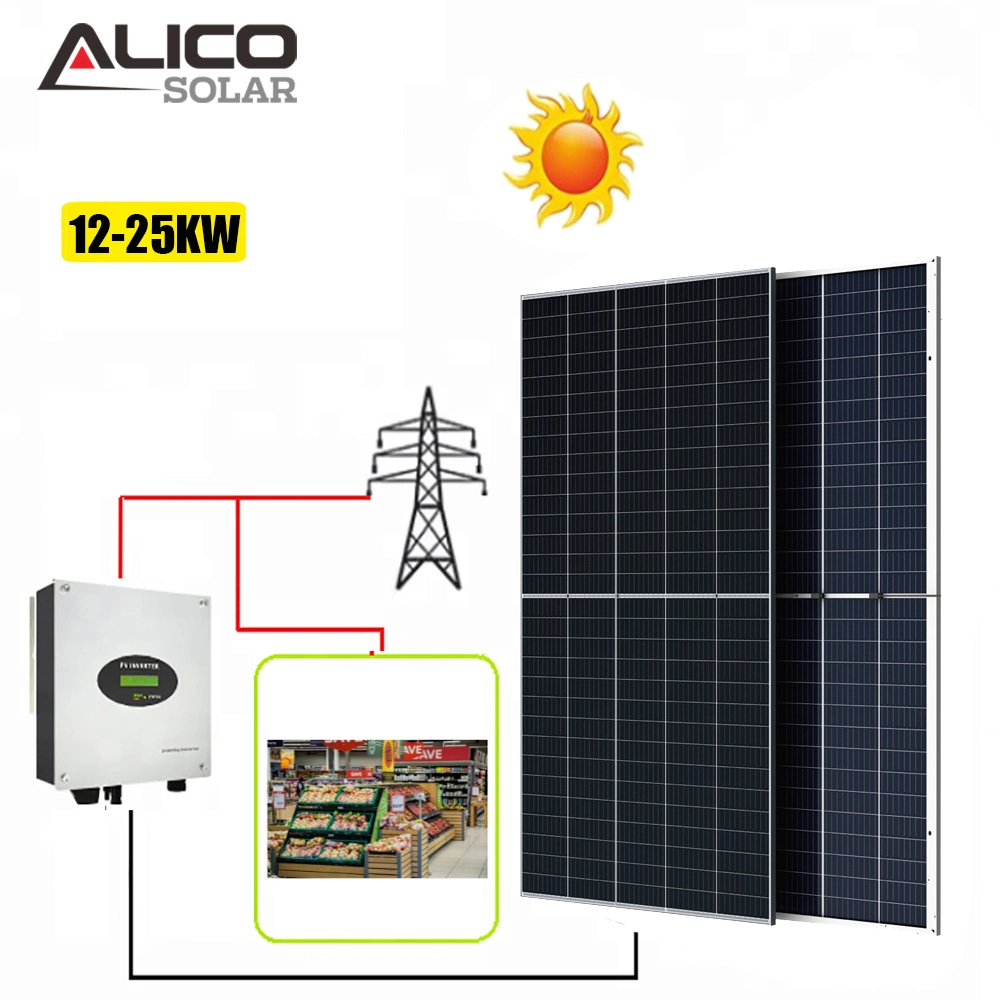 10КВТ PV Power on-Grid солнечной энергии фотоэлектрических систем с помощью комплекта изоляции солнечная панель переключателей