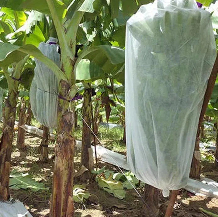 Usine couvre respirante couvercle de cultures en rangs flottante de protection contre le gel le vent de l'hiver de la protection contre les gelées d'insectes tissu non tissé Spunbond