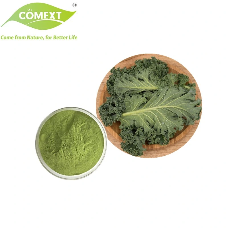 Comext 100% naturel plante pure légume vert Kale poudre échantillon gratuit