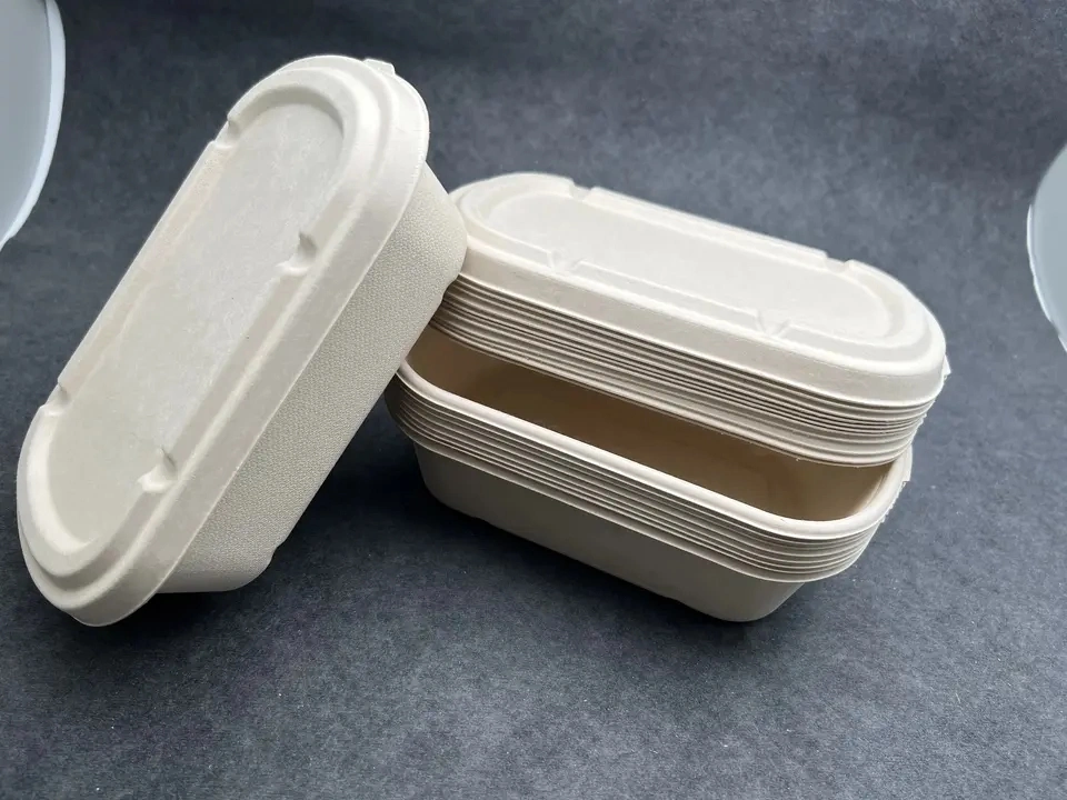 Fluoridfreie Zuckerrohr Bagasse Zellstoffschale mit Papierdeckel