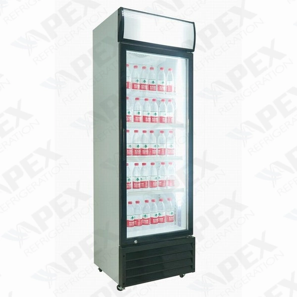 Glass Single Door Upright Freezer