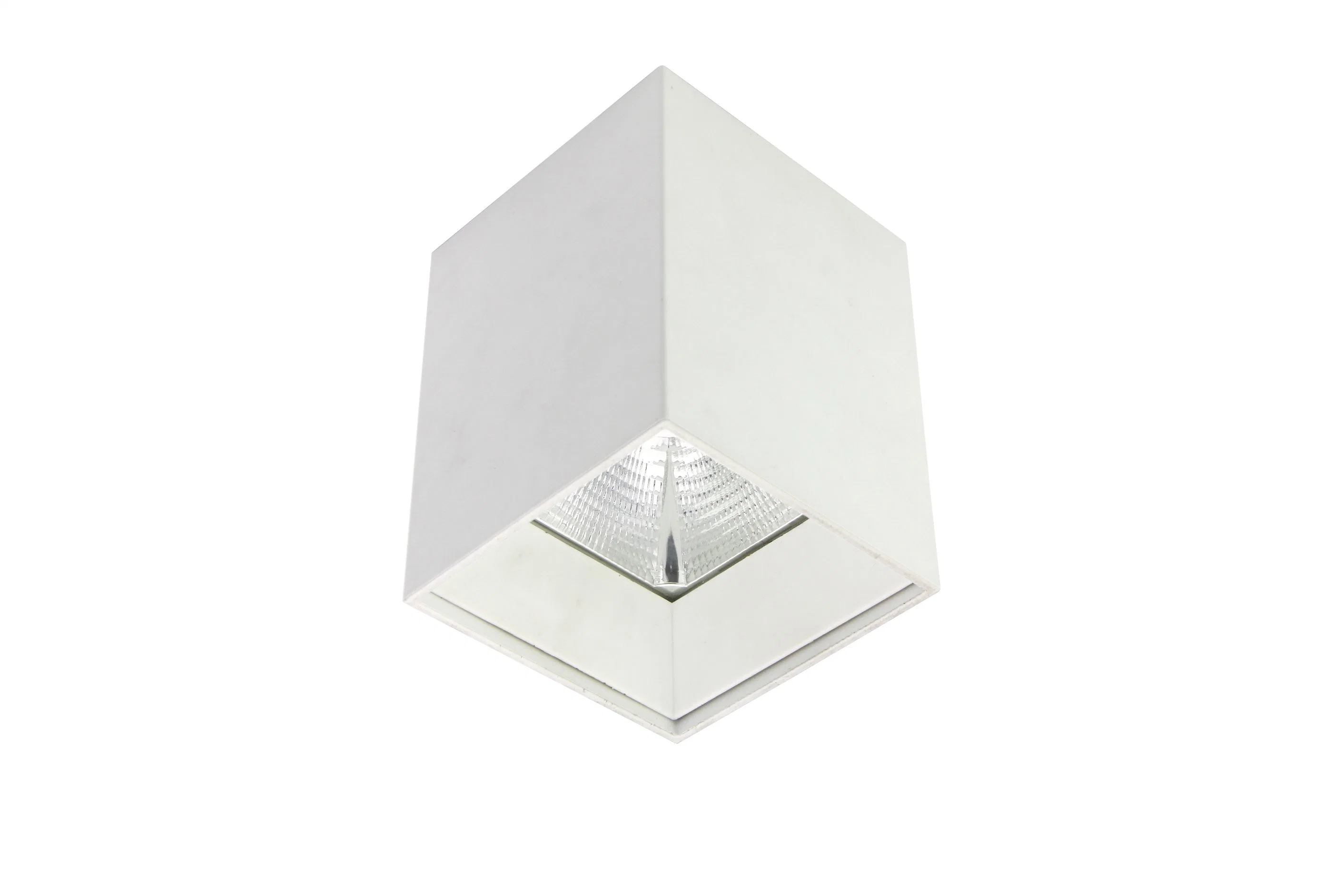 LED Light Aluminum 30W COB Ceiling LED Surface Mounted Downlight for Hair Mobile Shop