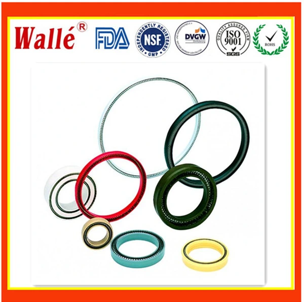 Seals Qualified Manufacturer PTFE Material Rotary Seal Spring Energized Seal