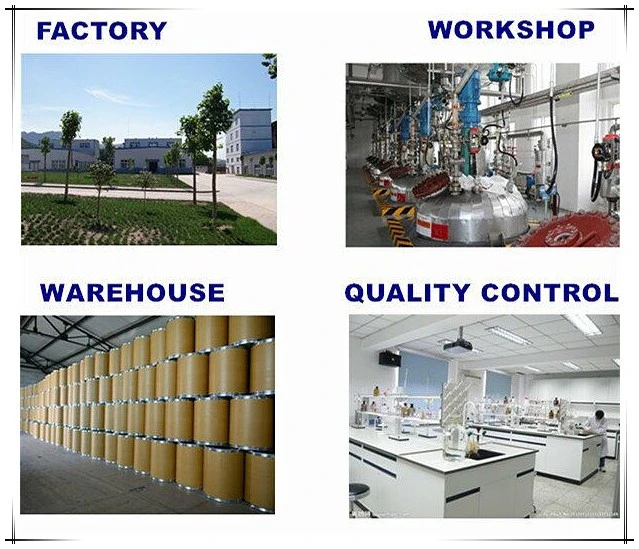 Agricultural Chemicals Kinetin 6-Furfurylaminopurine Gram in Plant Tissue Culture