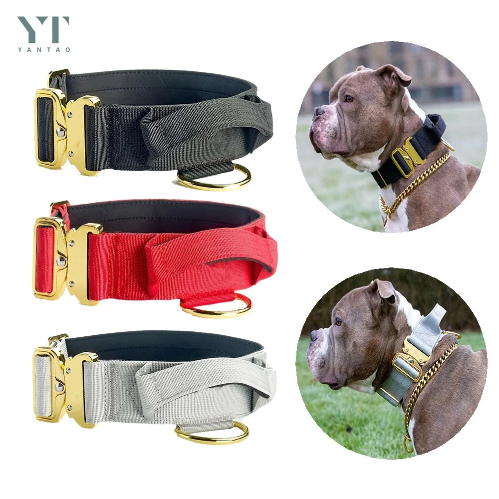 Custom Logo 2 Inch Gold Large Dog Collar with Handle Heavy Duty Adjustable Nylon Luxury Tactical Dog Collar Pet Collar