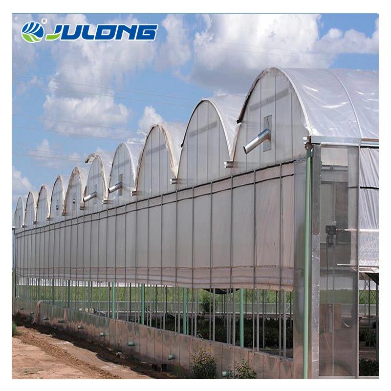 New Design Multi-Span Plastic Film Greenhouse Used for Agriculture Strawberry Growing Farming