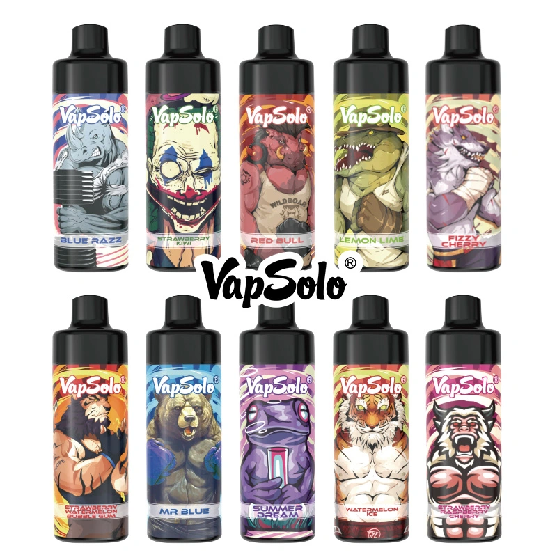 Vapsolo honor E Cigarette Europa 20ml E líquido buen gusto Bobina de malla Segaretta VAPE recargable 10000 Puff