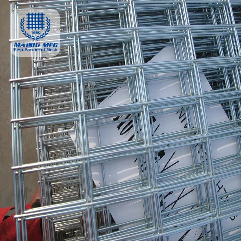 (E) Stainless Steel Welded Wire Mesh