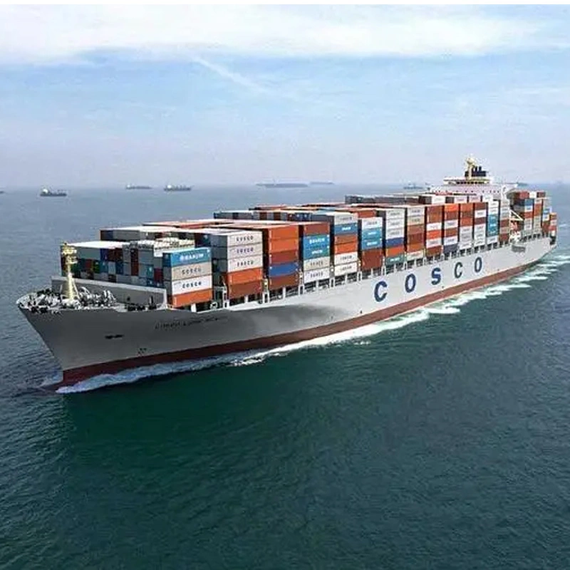 Container 20FT 40FT Sea Freight Shipping Forwarder to Middle East Dubai, Jeddah Seaport From Shenzhen