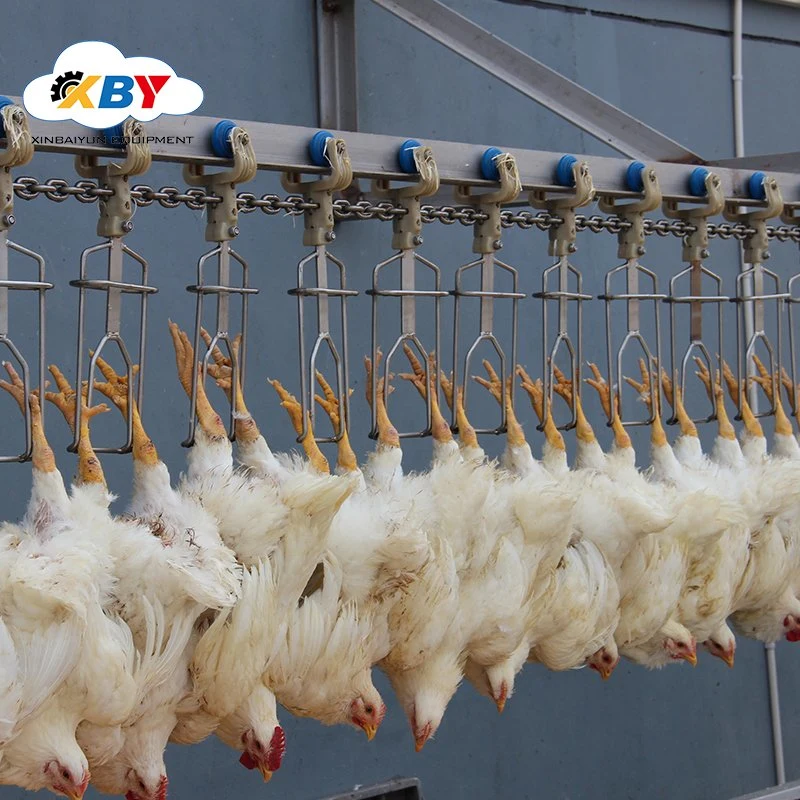 Автоматическое оборудование для убоя птицы Оборудование для обработки цыпленка abattoir линии обработки цыплят