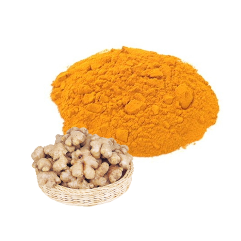 Pure Nature Plant Turmeric Powder for Health Care Product Curcumin Instant Dry Ginger Extract Powder