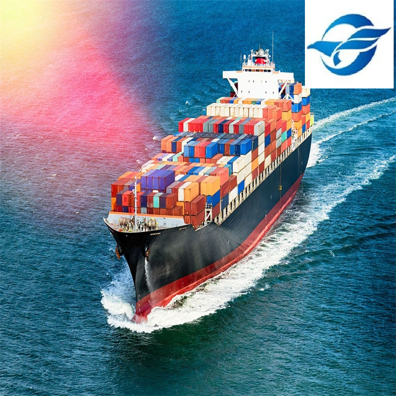 Reliable International Logistics Agent Shipping to El Salvador with Low Rates