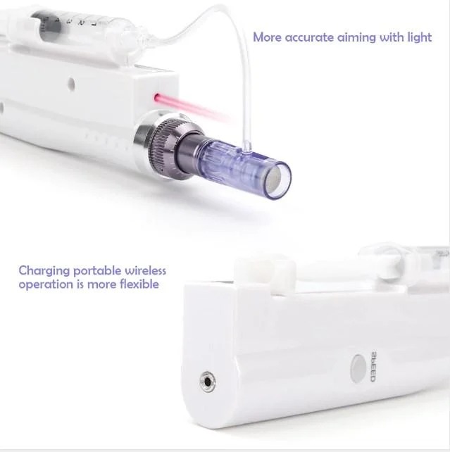 2022 Mini Electric Automated Dermapen 2 in 1 Hydra Injector Derma Stift mit Nano Mesotherapie Micro Nadel für Hyaron Rejuran