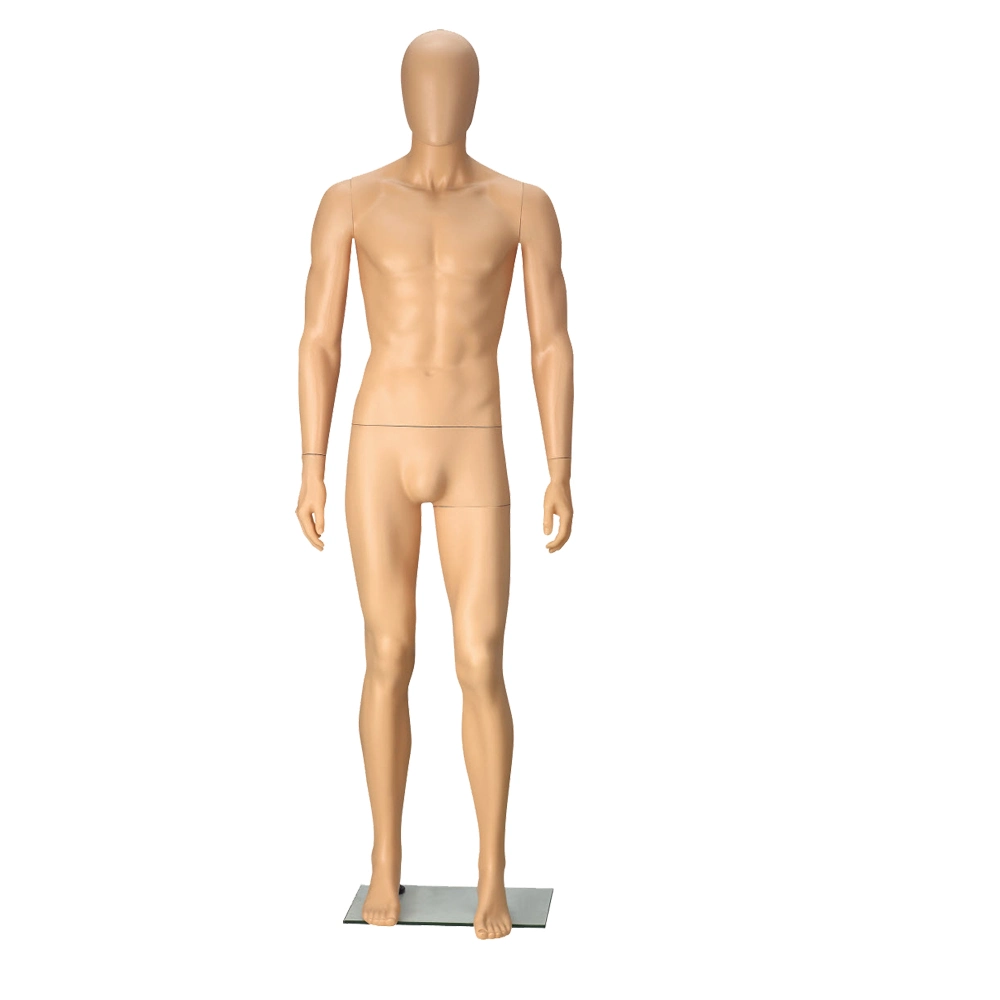 Efeel Eco-Friendly PP Plastic Flesh Tone Mannequin for Exhibition