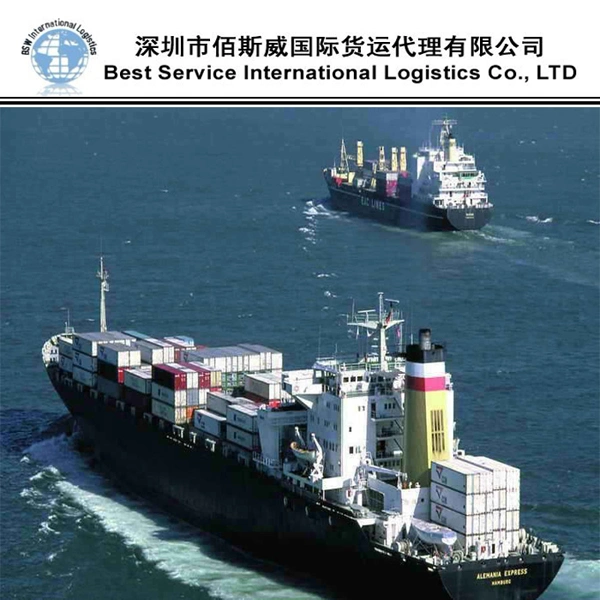 Safe and Cheapest Ocean Shipping International Forwarder Freight to Sea Fright From China to Argentina