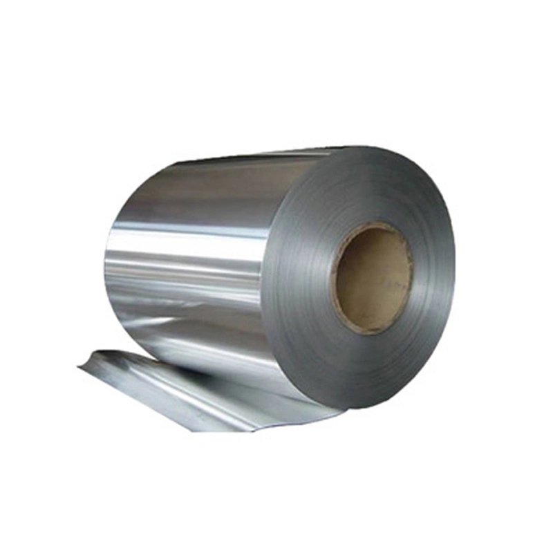 Ss 304 Steel Sheet 2-1/2 Inches Coil Nail Stainless Steel