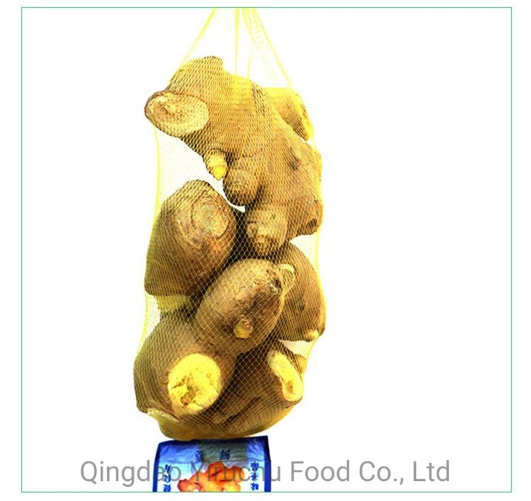 Air Dry Fresh Ginger New Harvest 2023