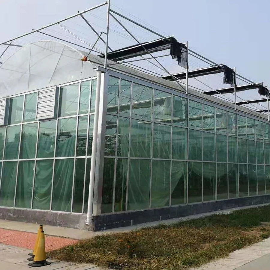 Strawberry Plants Glass Green House with Lighting System