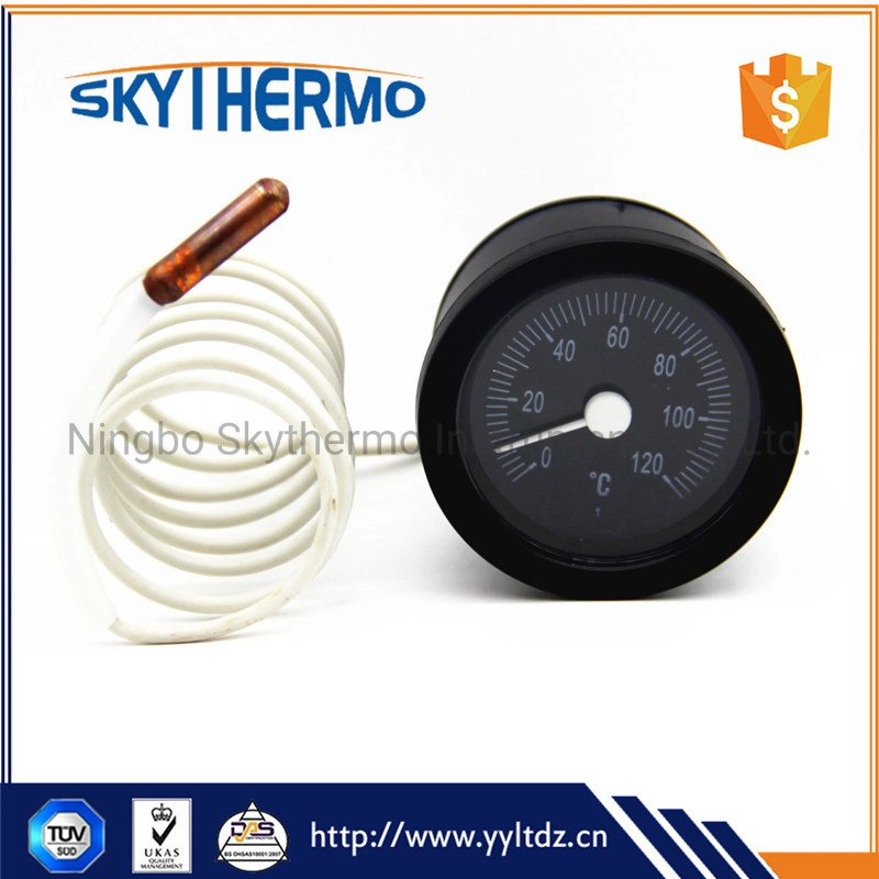 Testing Water Temperature Capillary Thermometer Plastic Round Remote Reading Thermometer 0-120c Thermometer